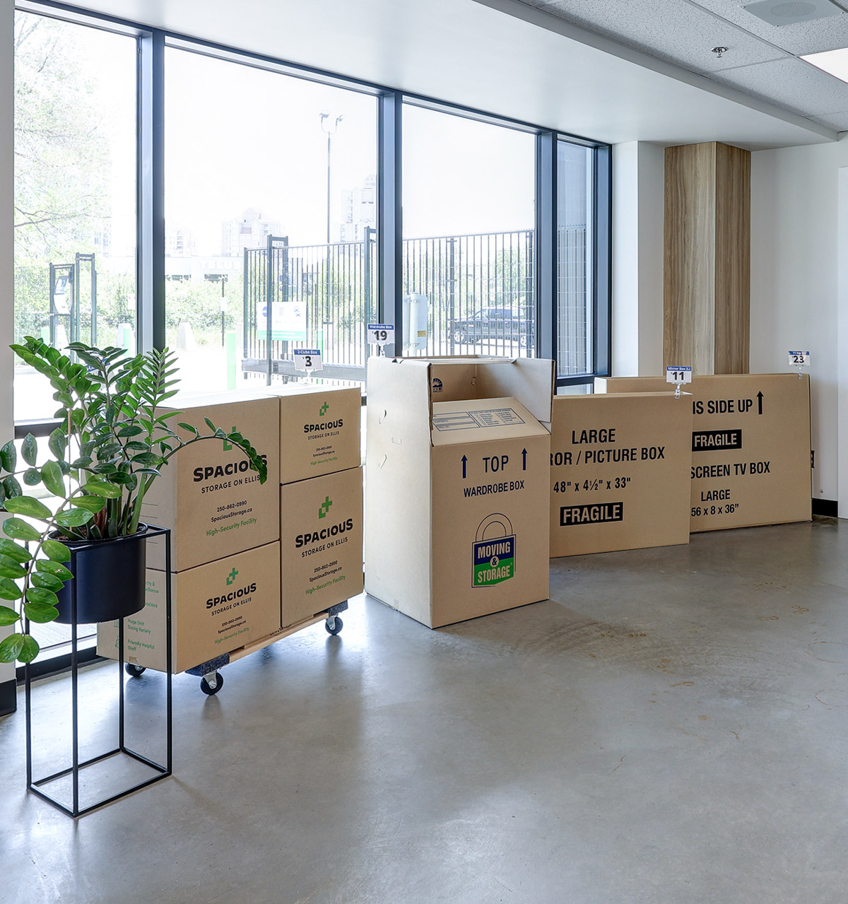 Benefits of using storage boxes for moving or self-storage - Spacious Storage On Ellis