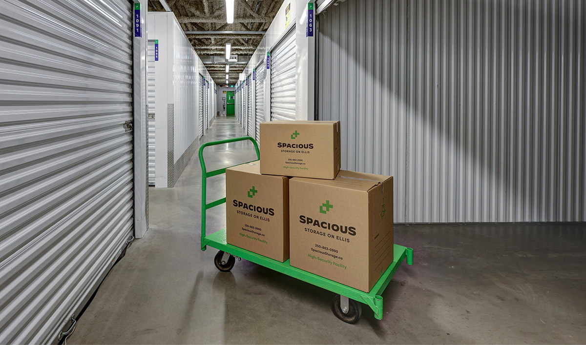 Storage boxes in storage unit on wheeler - Spacious Kelowna